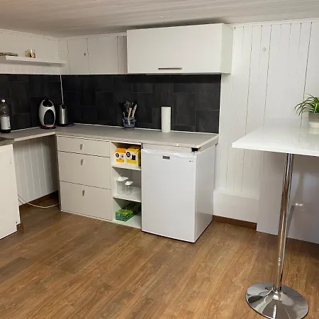 Renovierte Walliser Altbauwohnung Apartment